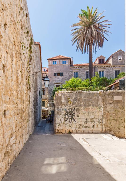 Seagull Apartment Dubrovnik Rum bild